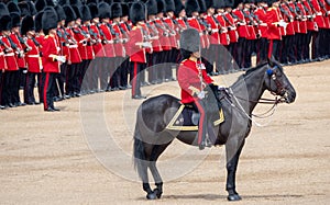 Military horse with rider taking part in the Trooping the Colour military ceremony at Horse Guards, London UK