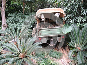 Military jeep in the forest