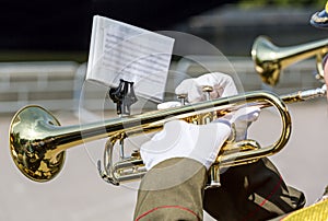 Military musician blowing his gold trumpet