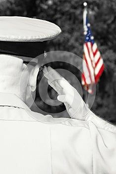 Military officer saluting flag