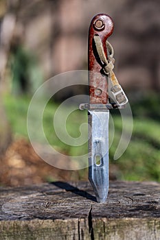 Military old bayonet knife in a wooden stump, closeup, outdoors. Bayonet-knife made during the Soviet Union