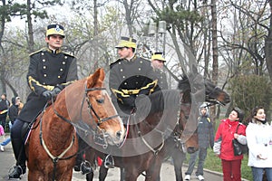 Military parade - Cavalry display