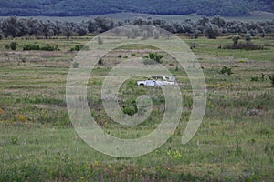Military range for target shooting, body from a former car in an open field photo