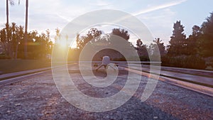 A military spy drone stands on the road waiting for takeoff. The image is for military, the weapon or spying backgrounds