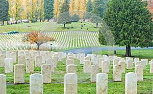 Military tombstones in the grave yard.