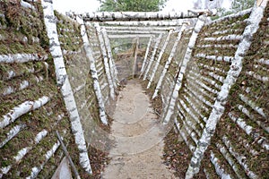 Military trench fortification lined with birch trunks.