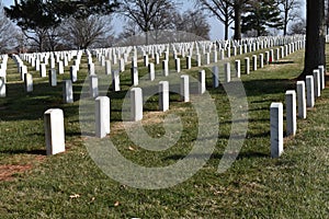 Military Veteran Graves in Jefferson Barracks National Cemetery On a Winter Day