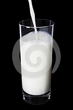 Milk