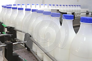 Milk bottles at conveyor