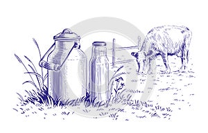milk in a can and a cow hand drawing sketch engraving illustration style