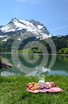 Milk, cheese and bread served at a picnic