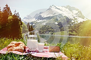 Milk, cheese and bread served at a picnic