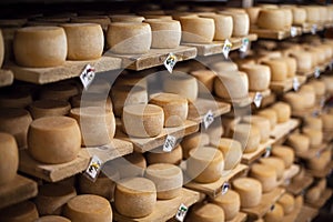 Milk cheese on a shelves