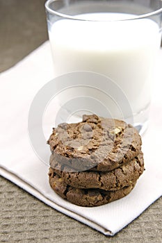 Milk And Cookies