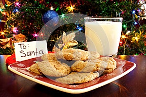 Milk and Cookies for Santa