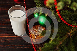 Milk and cookies for Santa Claus under the christmas tree. Concept, copy Space