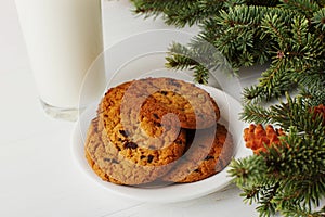 Milk and cookies for Santa Claus under the christmas tree. Concept, copy Space