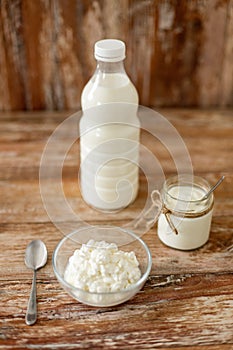 Milk, cottage cheese and homemade yogurt