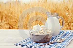 Milk and cottage cheese over wheat field background