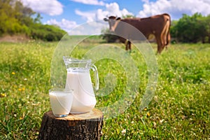 Milk with cow on the background