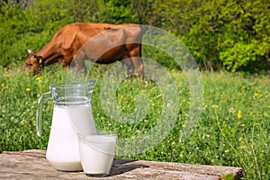 Milk with cow on the background