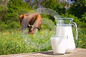 Milk with cow on the background