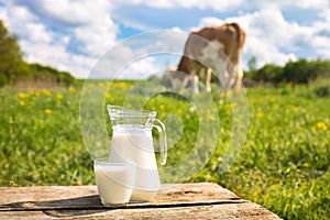 Milk with cow on the background