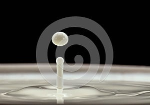 Milk drop splash