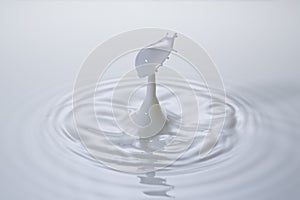 Milk drop splash