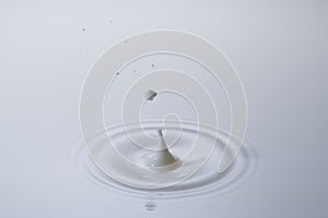 Milk drop splash