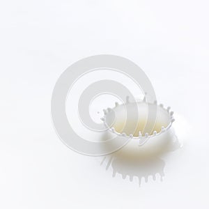 Milk Drop Splash with Copy Space
