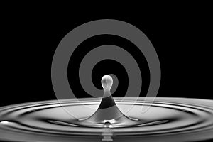 Milk drop or white liquid drop created ripple wave
