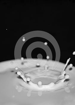 Milk Droplet