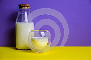 Milk in a glass and bottle on a fashionable yellow-purple background.