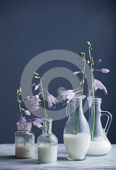 Milk in glass bottles and blue flowers against dark background photo
