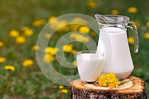 Milk in glass with dandelions on the background