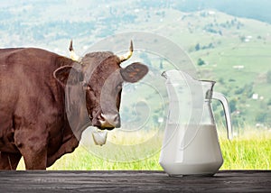 Milk in glass jug on wooden table with cow in meadow in the back