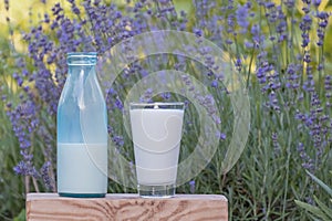 Milk in the glass. Organic food and drink. Organic milk pour from bottle outdoors. Concept of healthy eating, natural product,