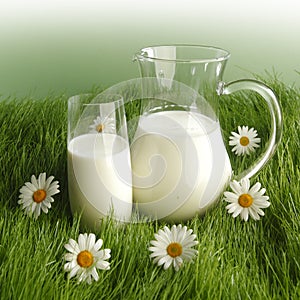 Milk in jar and glass on flower meadow