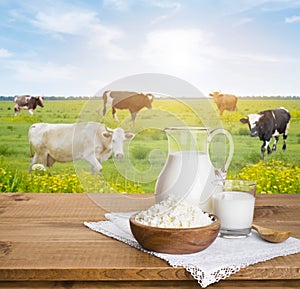 Milk jug and curd cheese bowl over sunny cows meadow