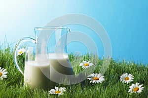 Milk jug and glass on flower field