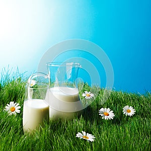 Milk jug and glass on flower field