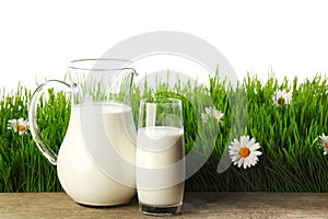 Milk jug and glass on flower field