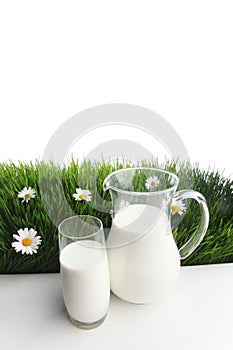 Milk jug and glass on flower field