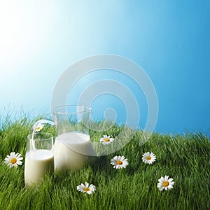 Milk jug and glass on flower field