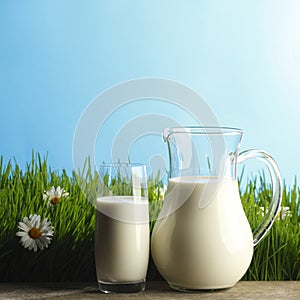 Milk jug and glass on flower field