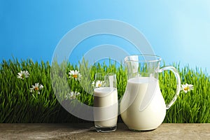 Milk jug and glass on grass