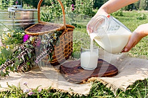 Milk jug and glass on the grass with chamomiles