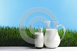 Milk jug and glass on grass field