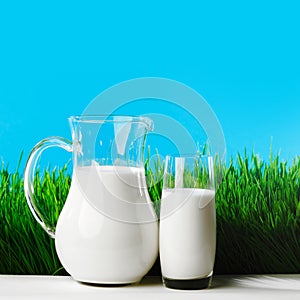 Milk jug and glass on grass field